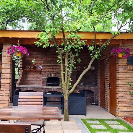 Cozy House With Nice Garden In Heart Of City Center Villa Cluj-Napoca Esterno foto