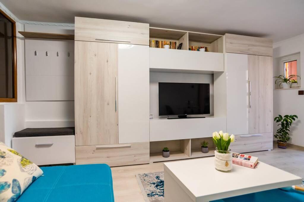 Cozy House With Nice Garden In Heart Of City Center Villa Cluj-Napoca Esterno foto