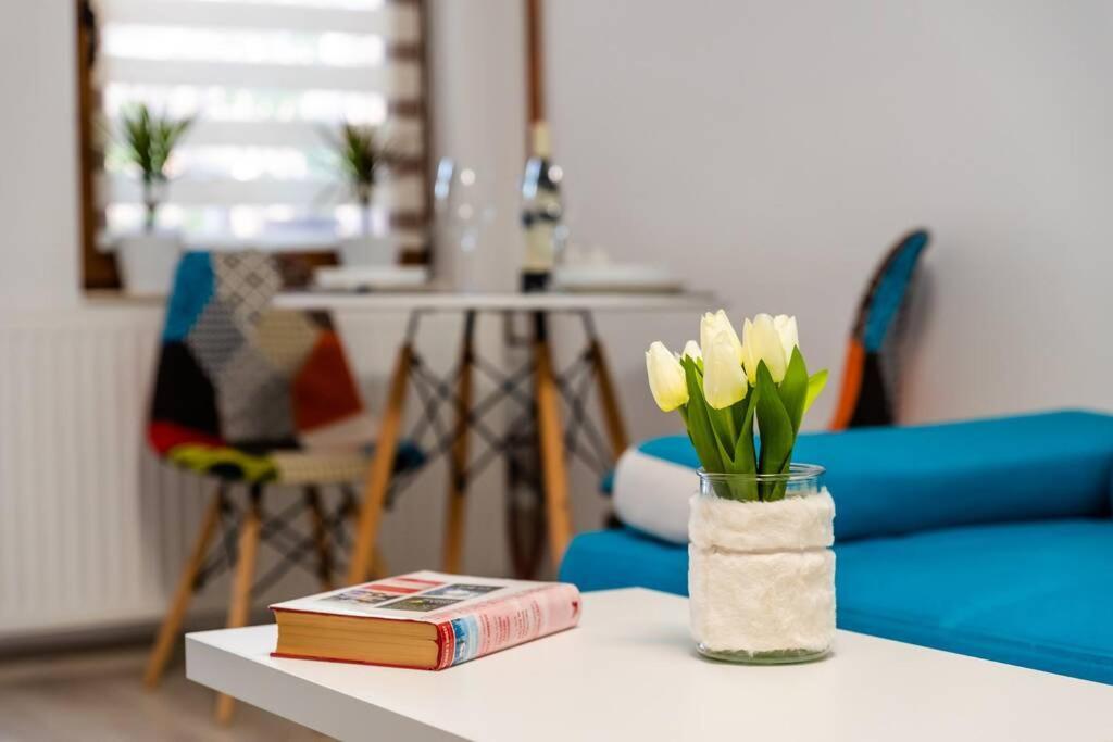 Cozy House With Nice Garden In Heart Of City Center Villa Cluj-Napoca Esterno foto