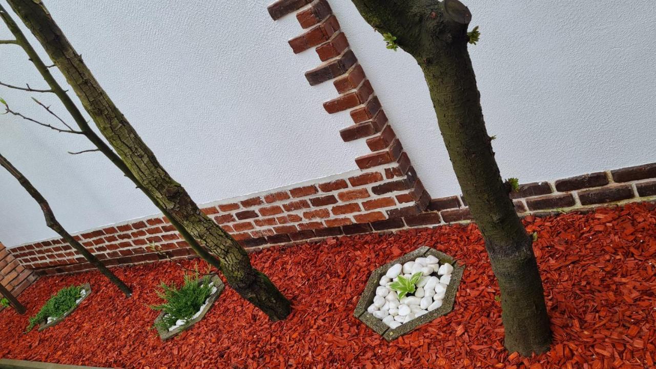 Cozy House With Nice Garden In Heart Of City Center Villa Cluj-Napoca Esterno foto
